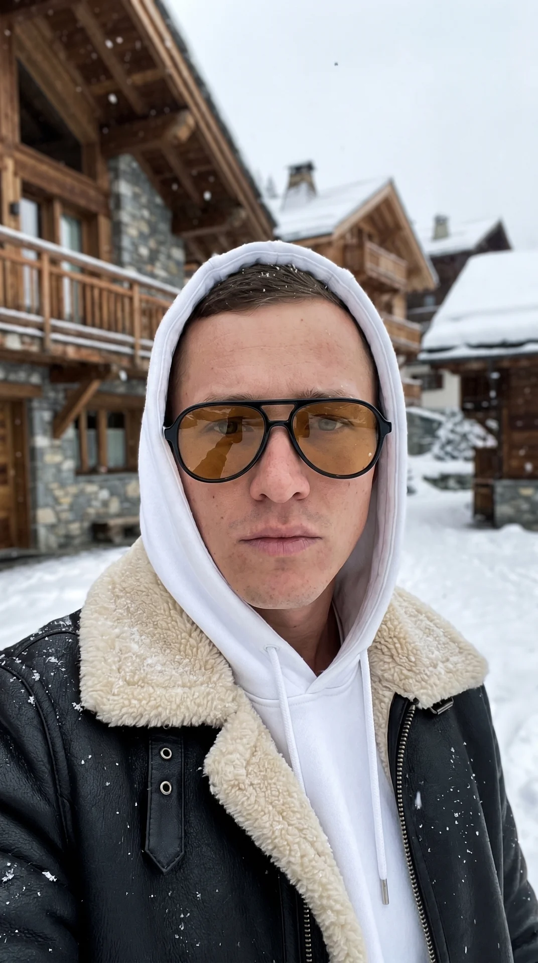 В Альпах