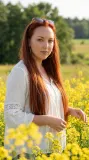 Летнее поле и цветы — фото 4